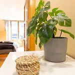 Atico Duplex En Calle Mayor Lägenhet El Burgo De Osma